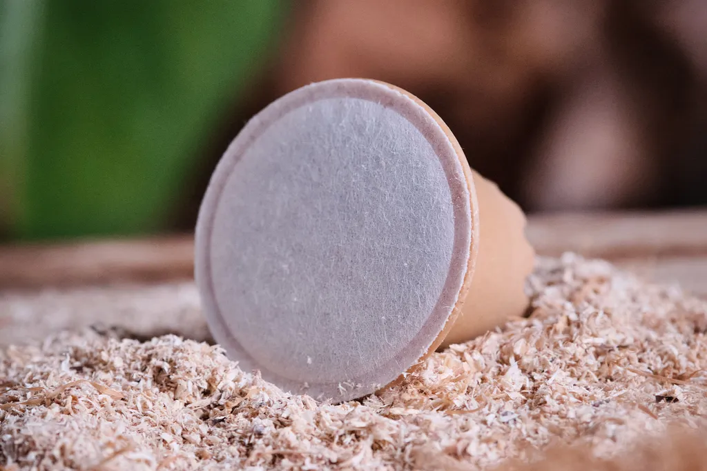 Coffee Annan Kaffeekapseln Ethiopia Espresso | 100% Biobasiert | Nespresso® Kompatibel | 20 Holzkapseln – Bild 2